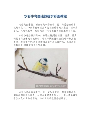 水彩小鸟画法教程水彩画教程