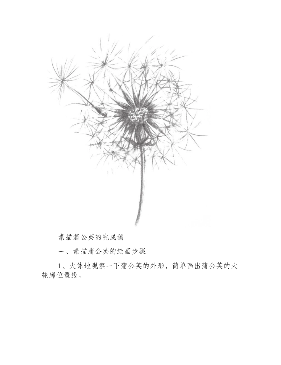 素描蒲公英的画法步骤是什么素描教程_第2页