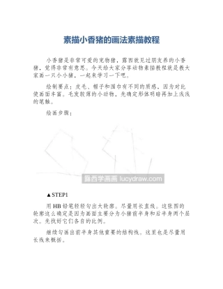 素描小香猪的画法素描教程