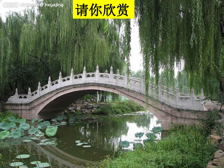 桥之美(配导学案)_第2页