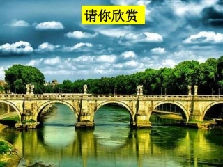 桥之美(配导学案)