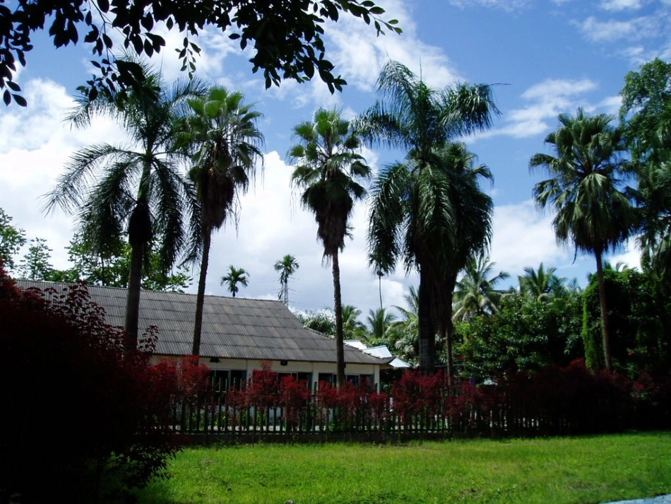 云南的歌会课件_第3页