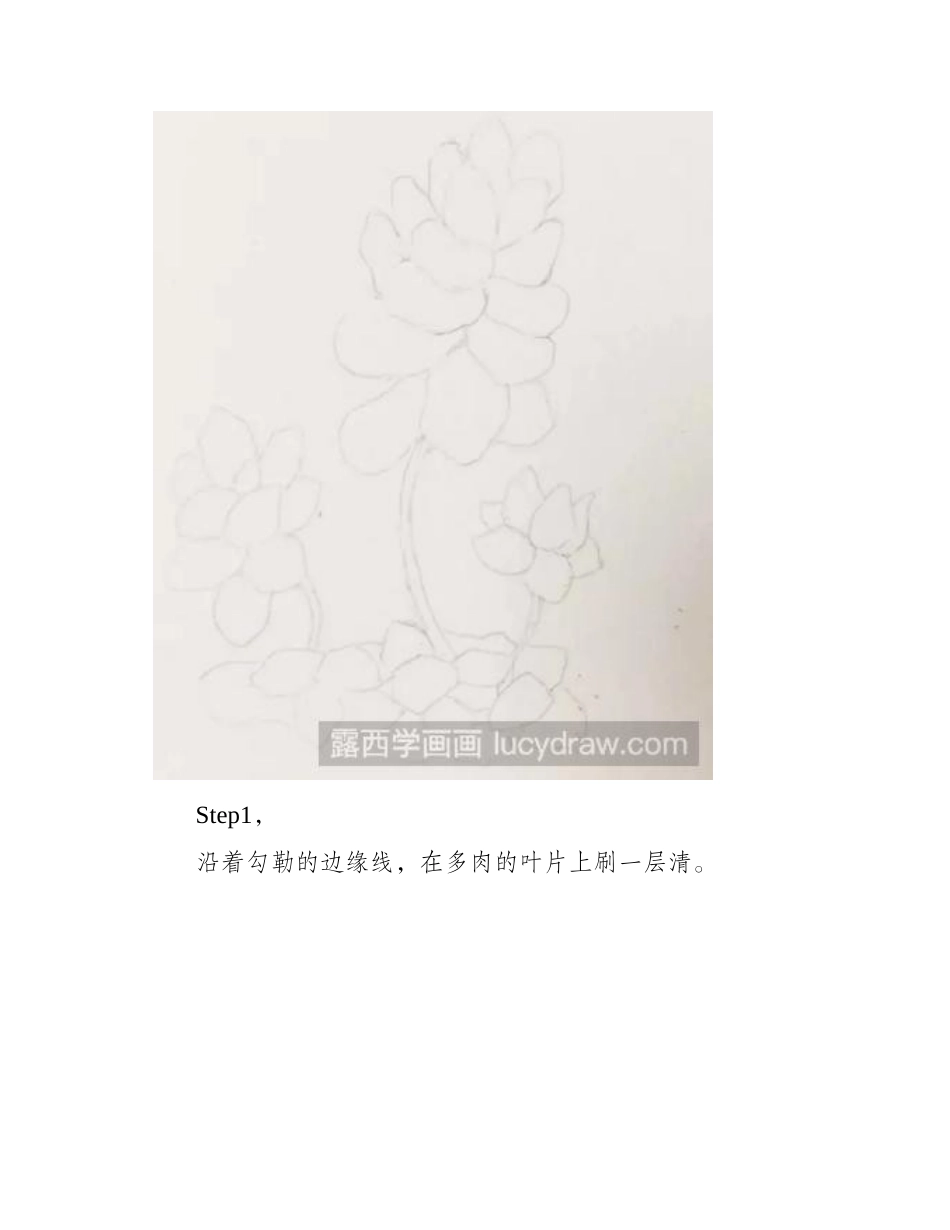 水彩画教程：教你画珊瑚珠多肉水彩画教程_第2页