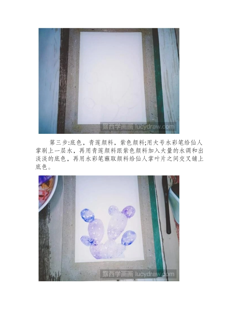 仙人掌水彩画步骤水彩画教程_第2页
