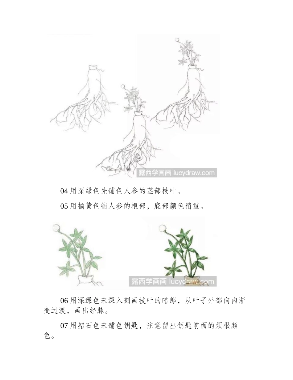 人参钥匙水彩画教程水彩画教程_第2页
