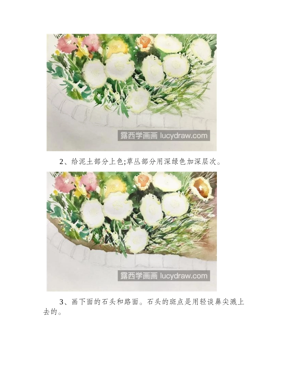 太阳花怎么画_水彩步骤有哪些_水彩画教程_第2页