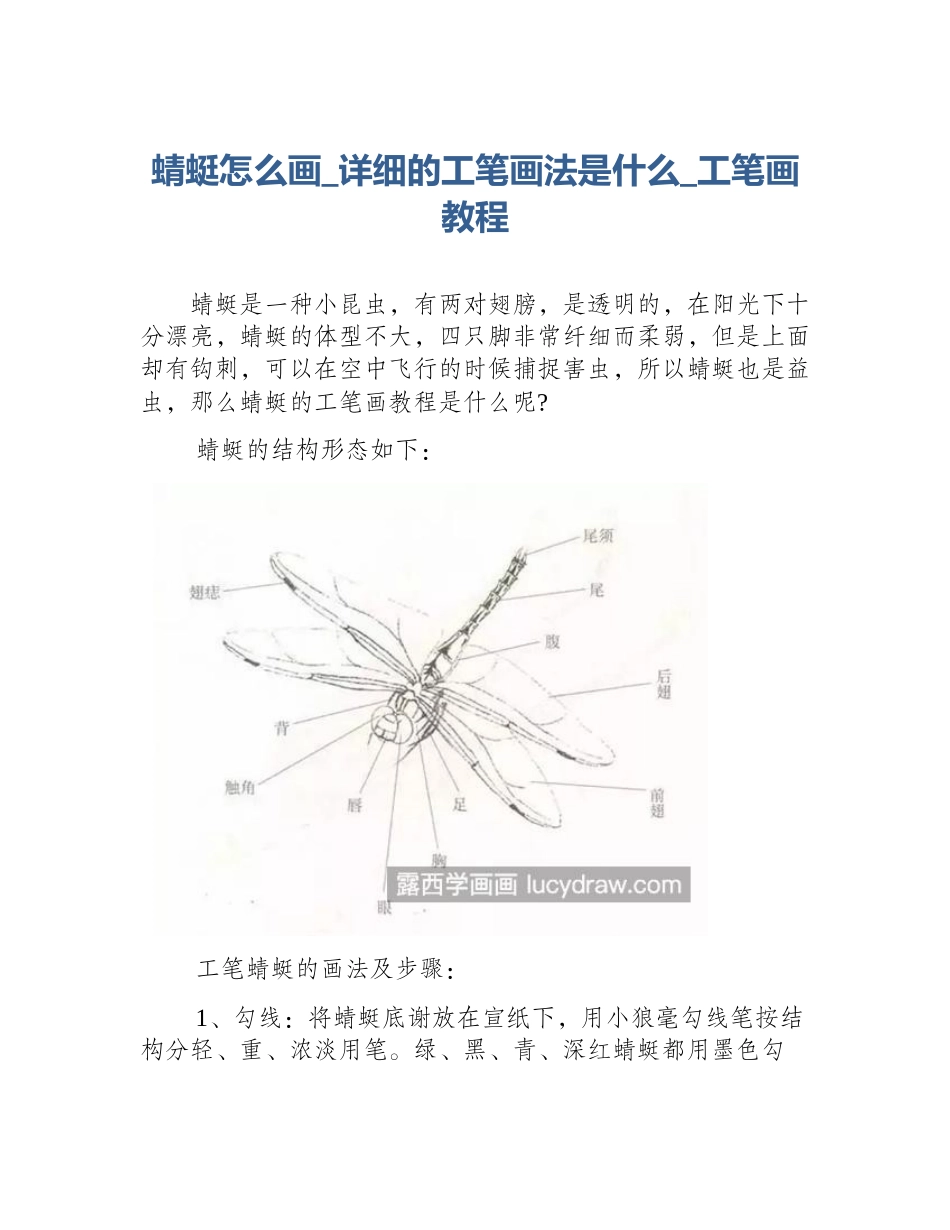 蜻蜓怎么画_详细的工笔画法是什么_工笔画教程_第1页
