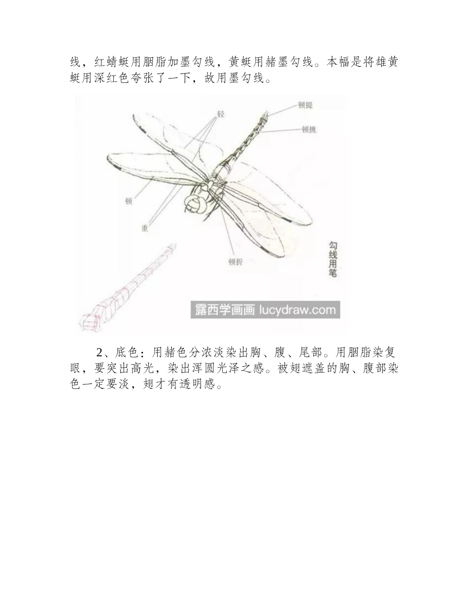 蜻蜓怎么画_详细的工笔画法是什么_工笔画教程_第2页