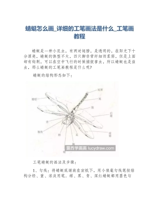蜻蜓怎么画_详细的工笔画法是什么_工笔画教程