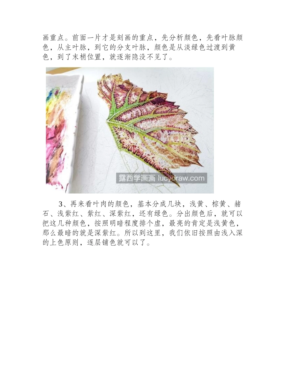 秋叶怎么画_有哪些细节要注意_水彩画教程_第2页