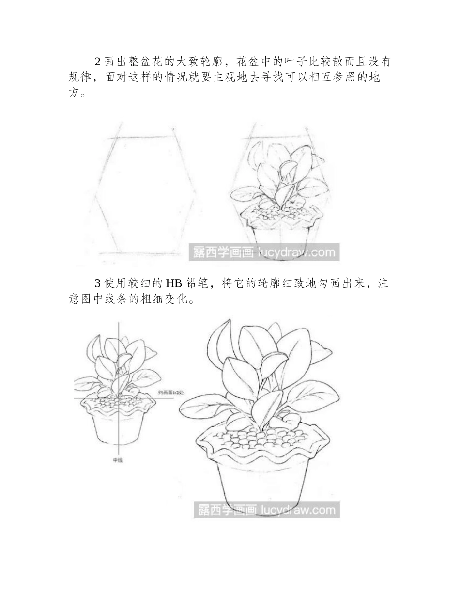 素描教程：怎么画绿植素描教程_第2页