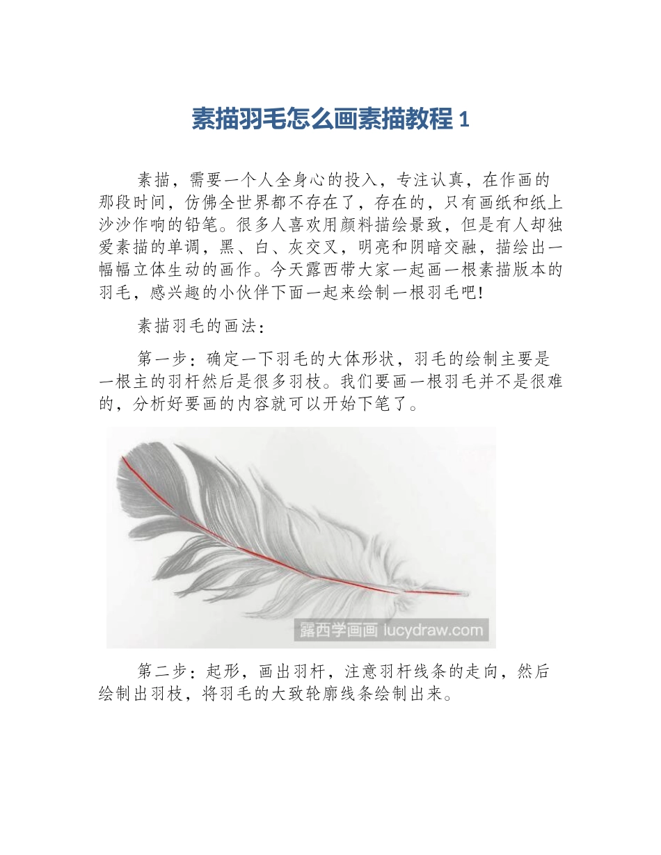素描羽毛怎么画素描教程1_第1页