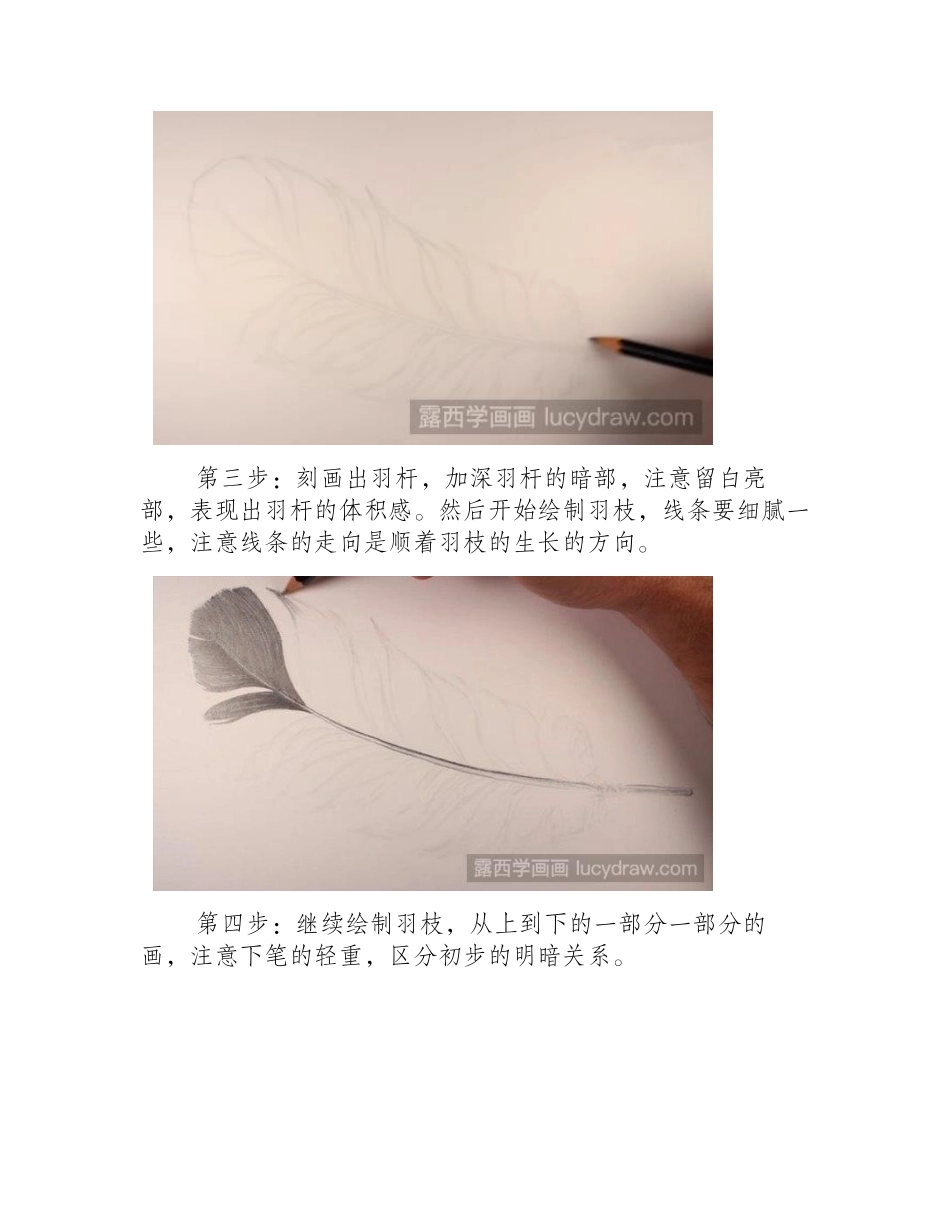 素描羽毛怎么画素描教程1_第2页