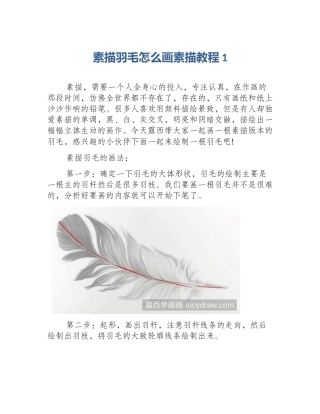素描羽毛怎么画素描教程1
