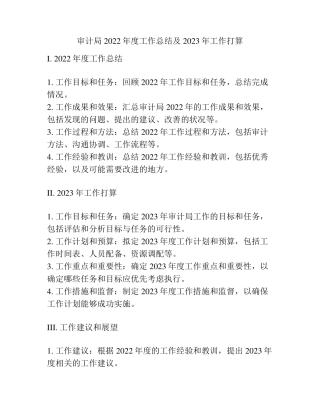 审计局2022年度工作总结及2023年工作打算 