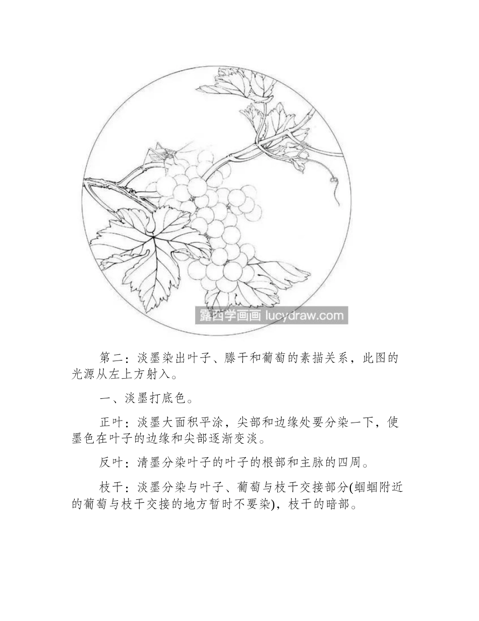 葡萄怎么画_工笔画葡萄怎么调色_工笔画教程_第2页