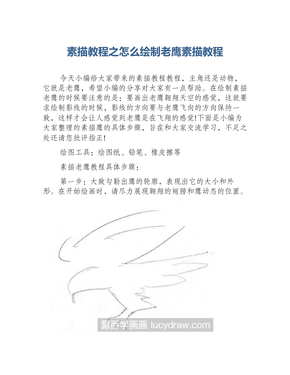 素描教程之怎么绘制老鹰素描教程_第1页