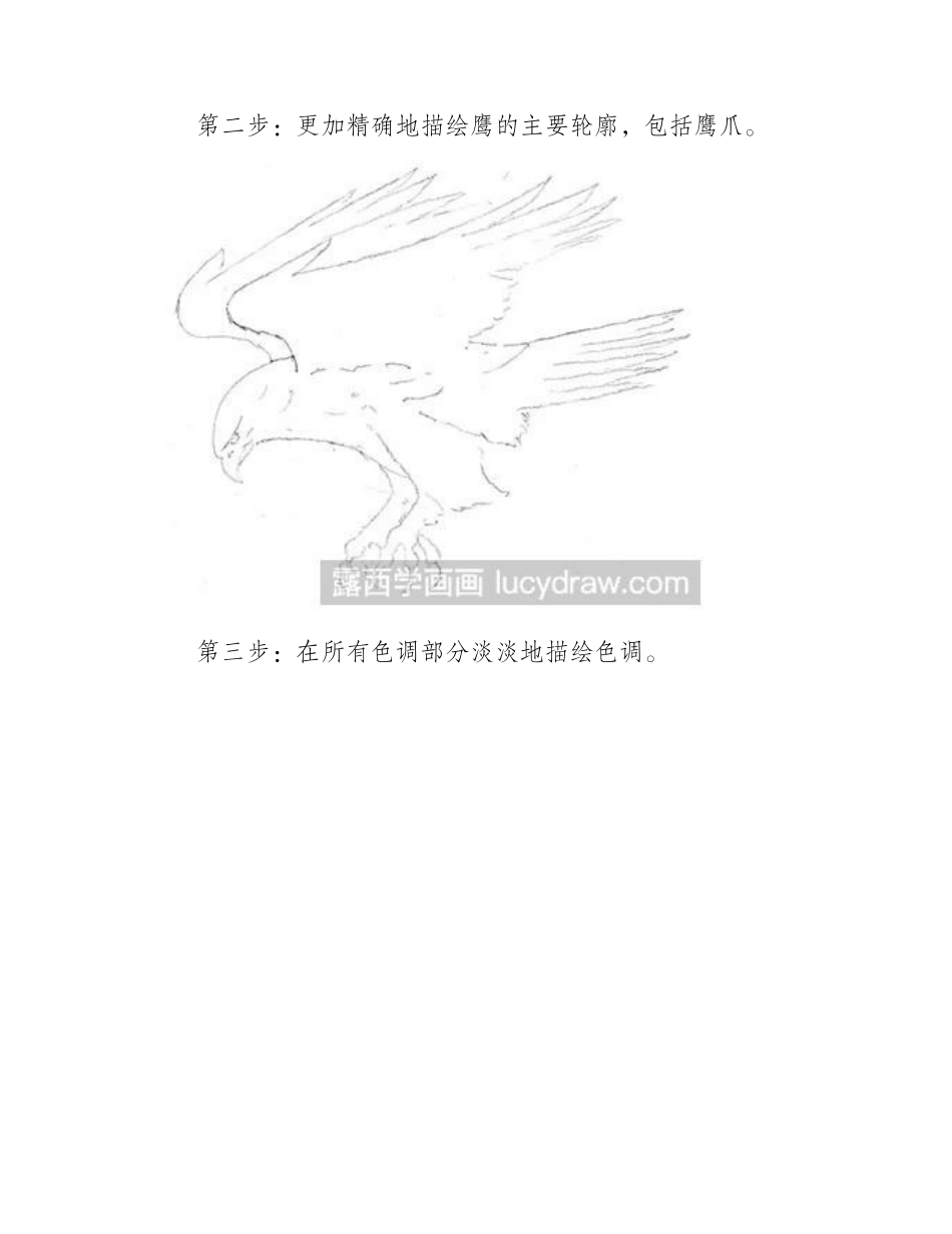 素描教程之怎么绘制老鹰素描教程_第2页