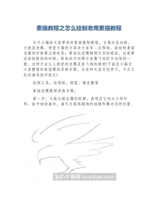素描教程之怎么绘制老鹰素描教程
