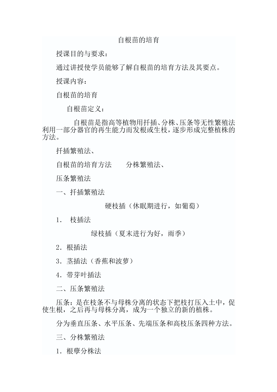 自根苗的培育_第1页