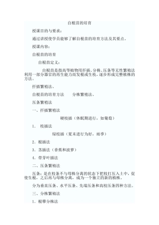自根苗的培育