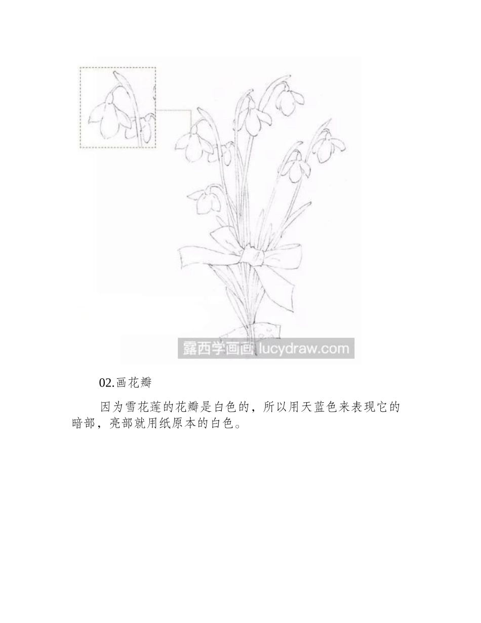 水彩画教程：怎么画雪花莲水彩画教程_第2页