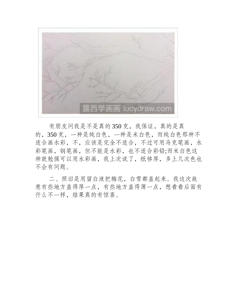 水彩教程：怎么画梅花水彩画教程_第2页