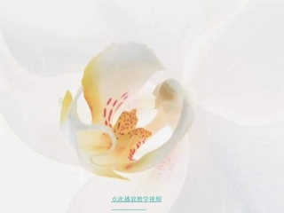 小壁虎借尾巴3