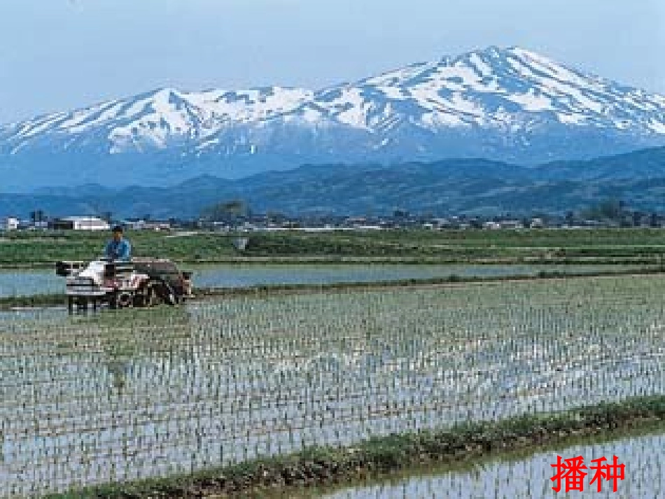 《农业的变化真大》课件(小学语文二年级上册课件)_第3页
