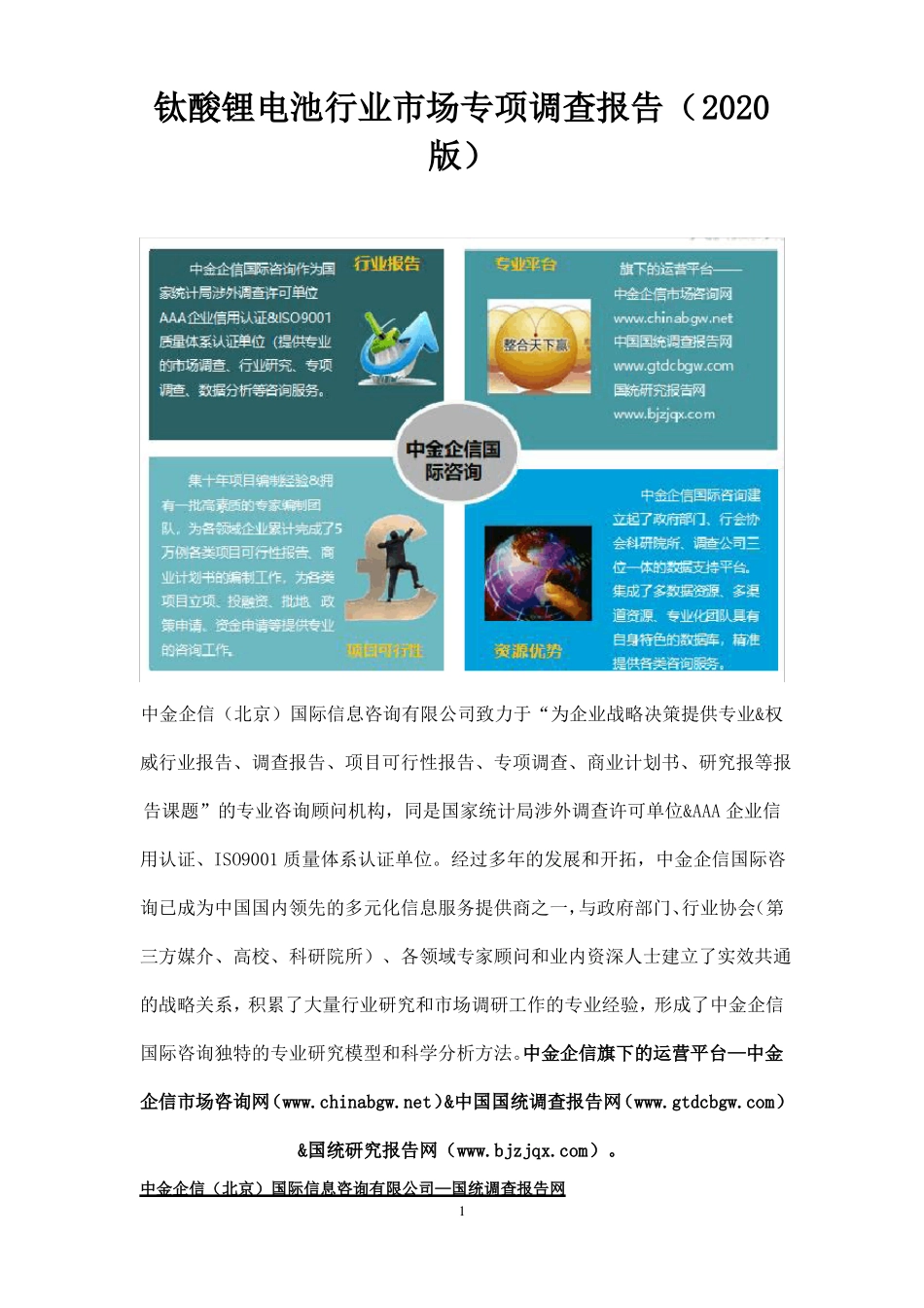 钛酸锂电池行业市场专项调查报告(2020版)_第1页