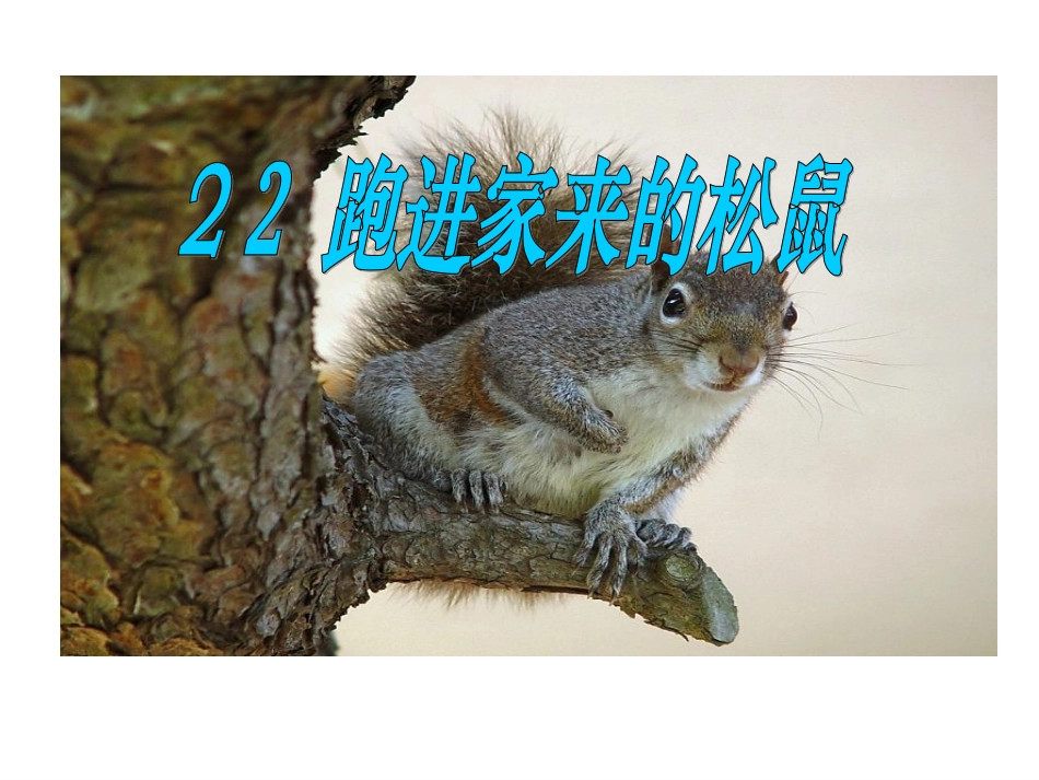 跑进家来的松鼠 (2)_第2页