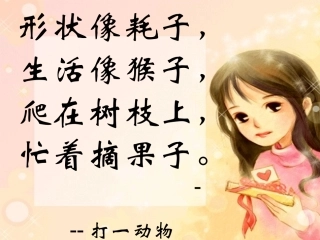 跑进家来的松鼠 (2)