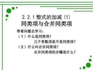 同类项与合并同类项