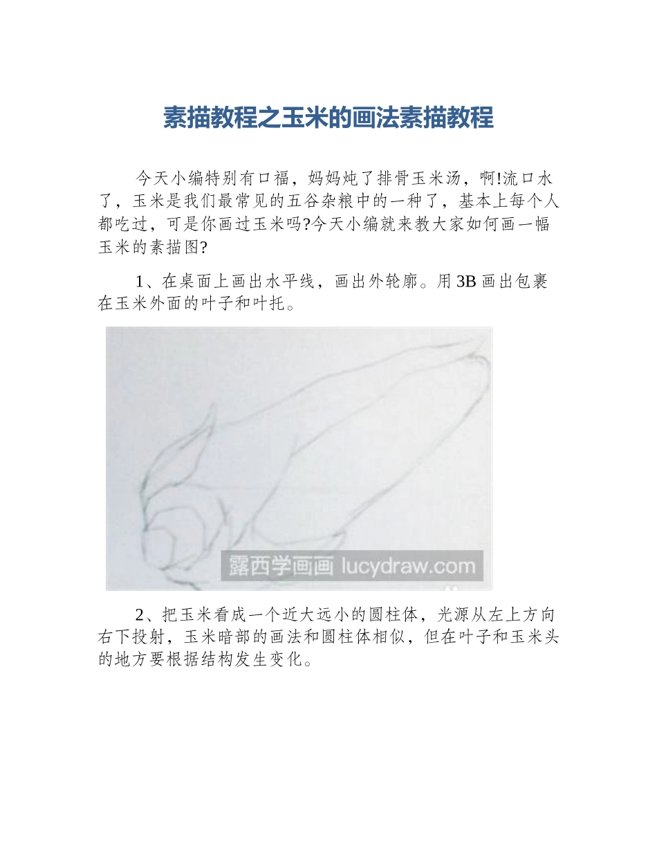素描教程之玉米的画法素描教程_第1页