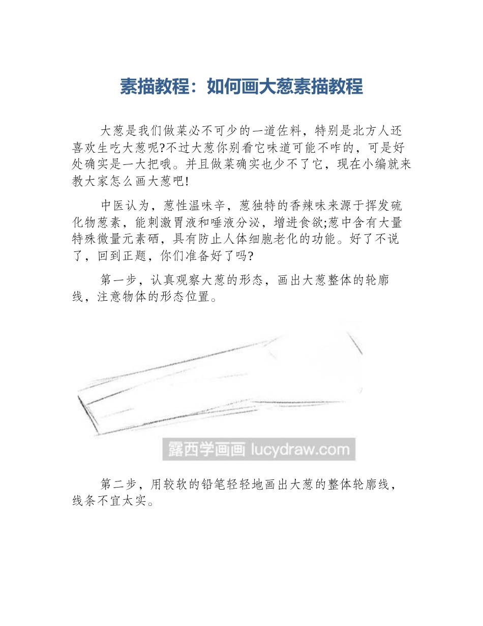 素描教程：如何画大葱素描教程_第1页