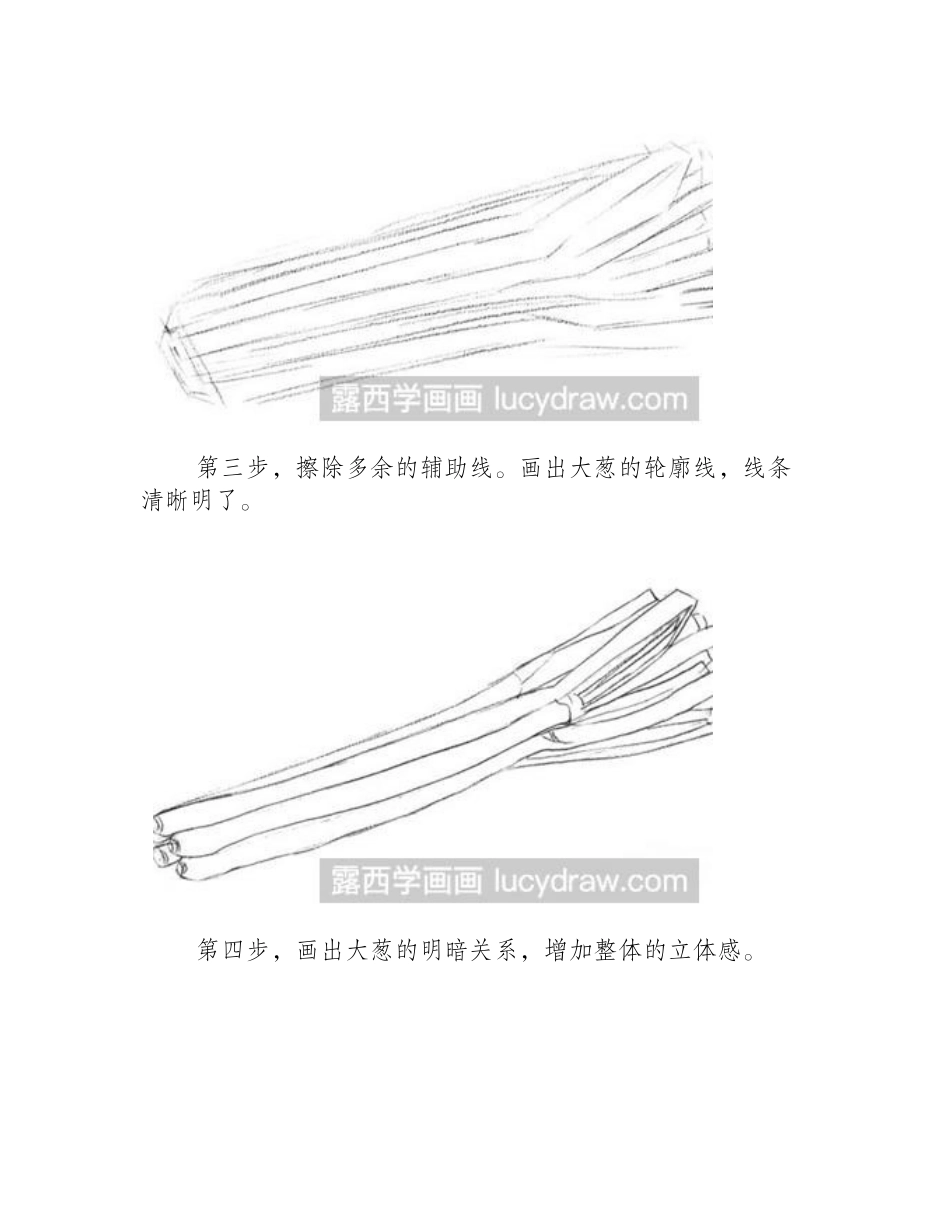 素描教程：如何画大葱素描教程_第2页