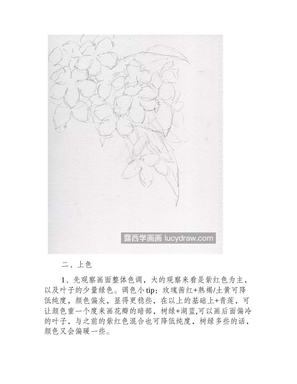 水彩桃花怎么画_详细的绘画过程是什么_水彩画教程_第2页