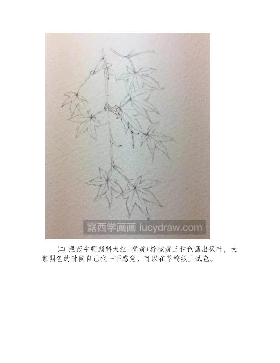 水彩枫叶画教程水彩画教程_第2页