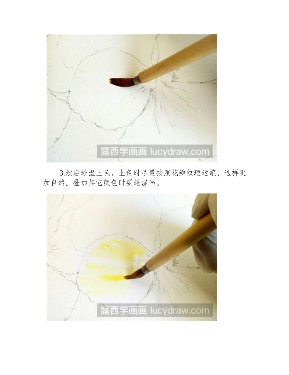 水彩画教程：教你画三色堇水彩画教程_第2页