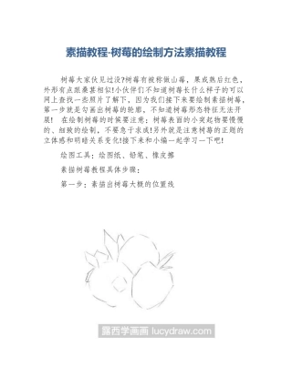 素描教程-树莓的绘制方法素描教程