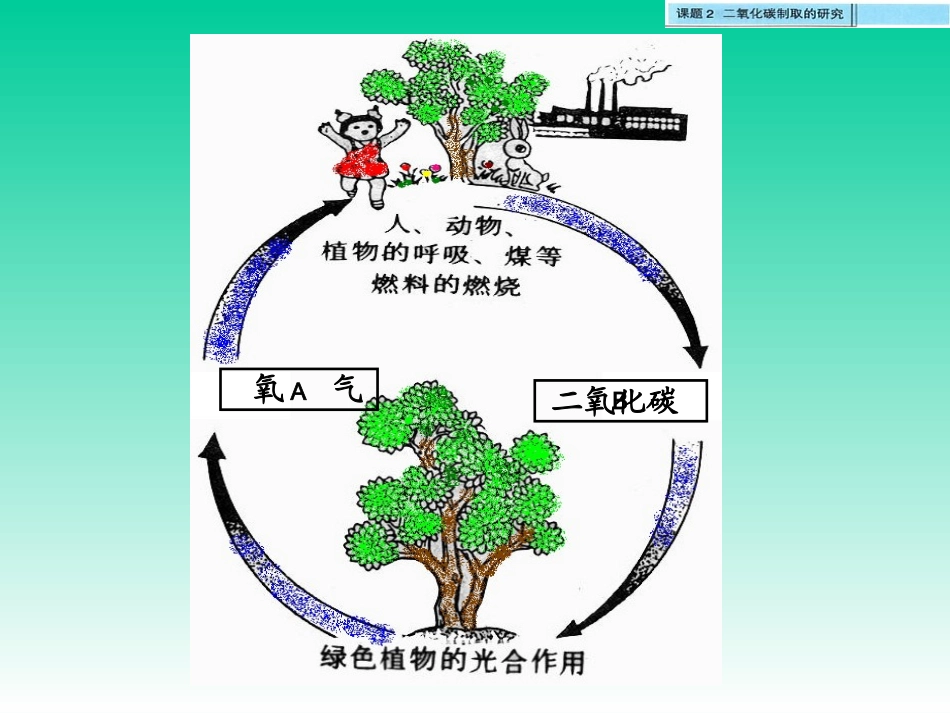 二氧化碳制取的研究课件_第2页