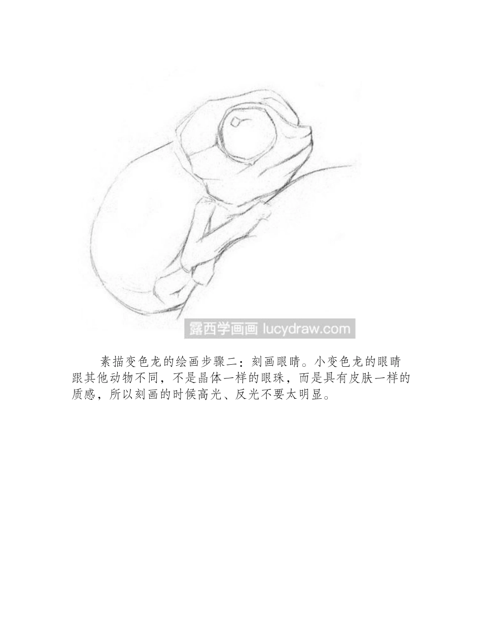 素描变色龙的绘画教程素描教程_第2页