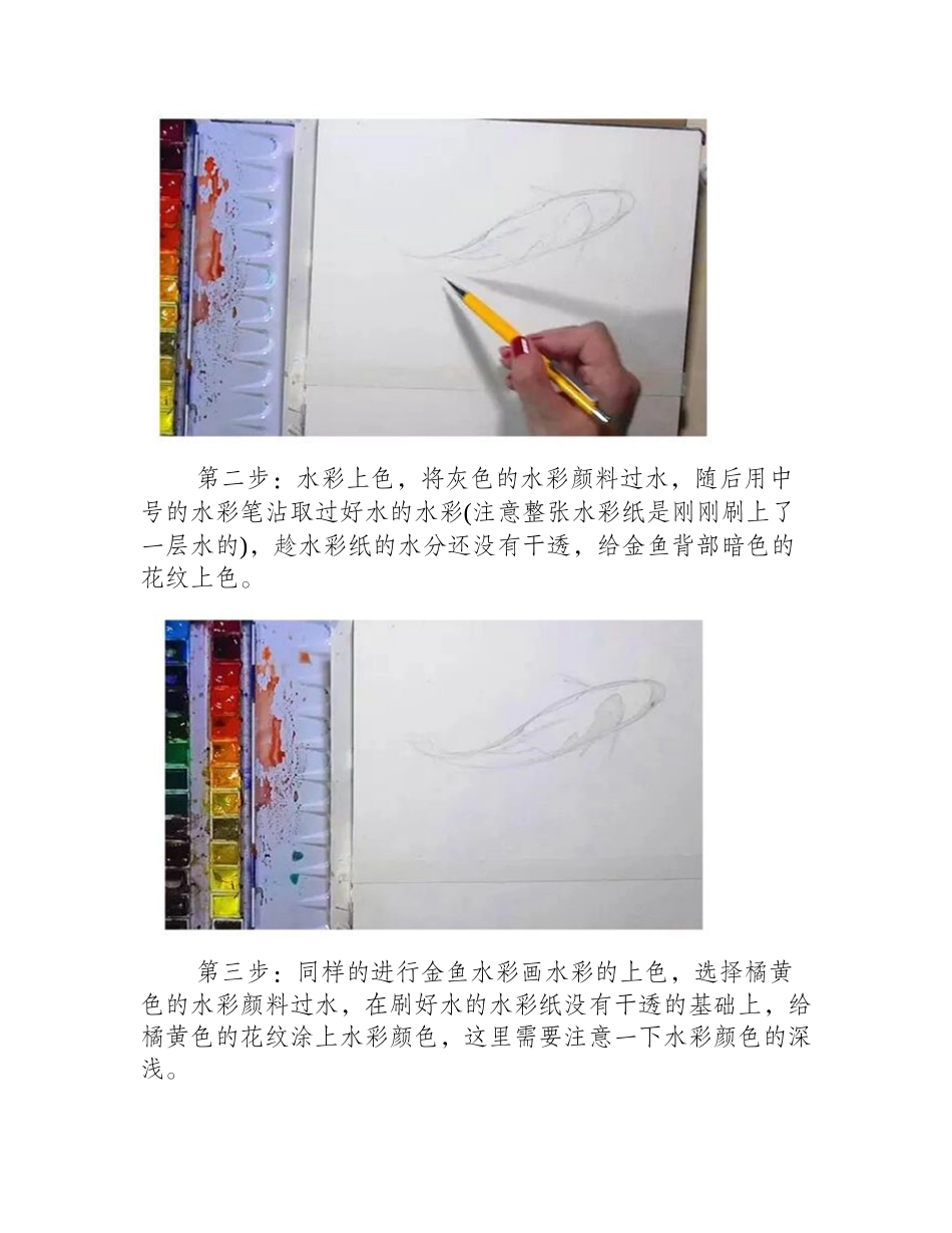 水彩画动物：手绘金鱼绘画步骤水彩画教程_第2页