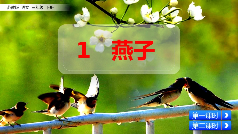 燕子上课PPT_第2页