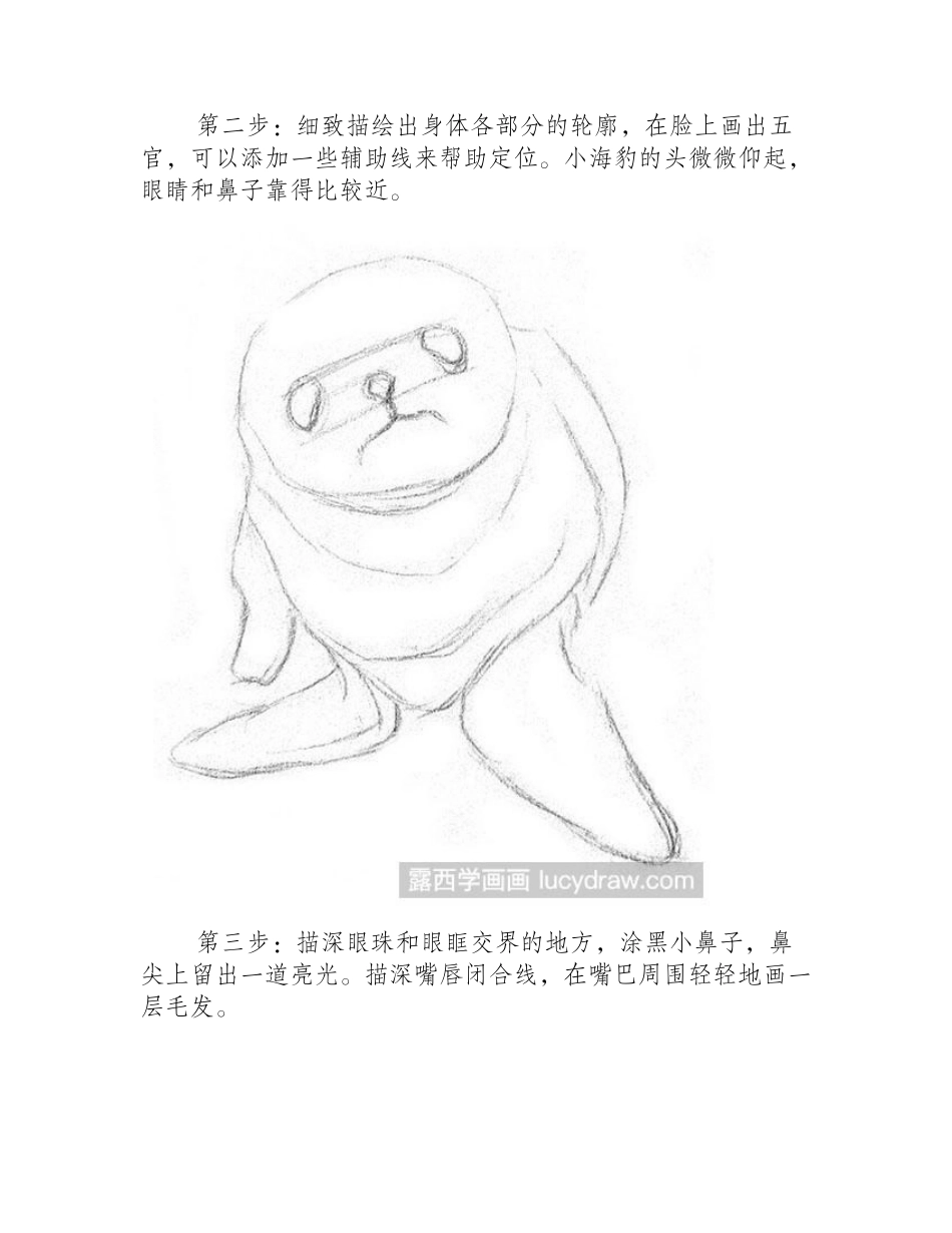 素描动物之素描小海豹素描教程_第2页