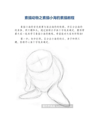 素描动物之素描小海豹素描教程