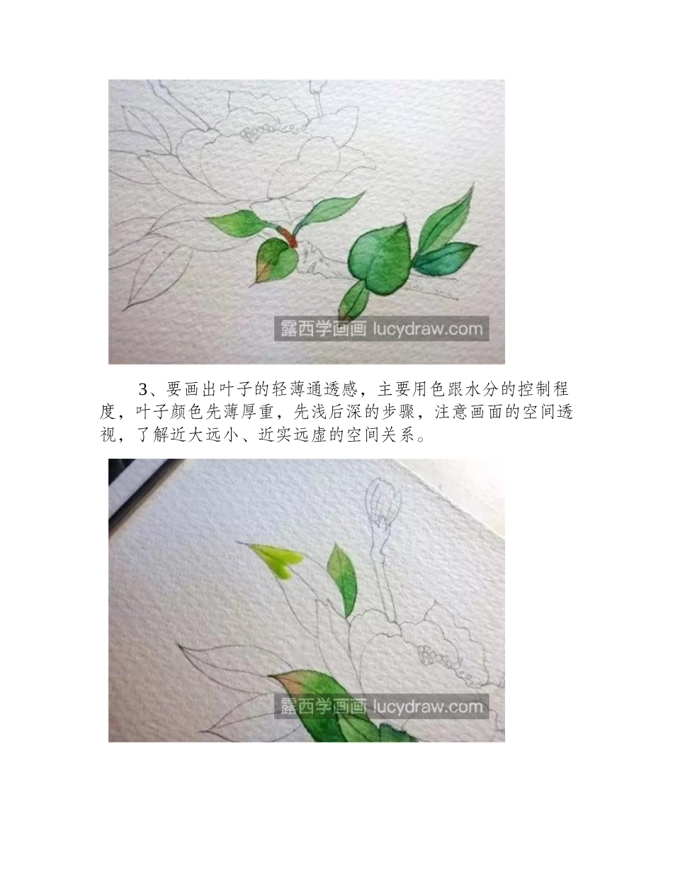 水彩花卉怎么画_具体的绘画步骤有哪些_水彩画教程_第2页