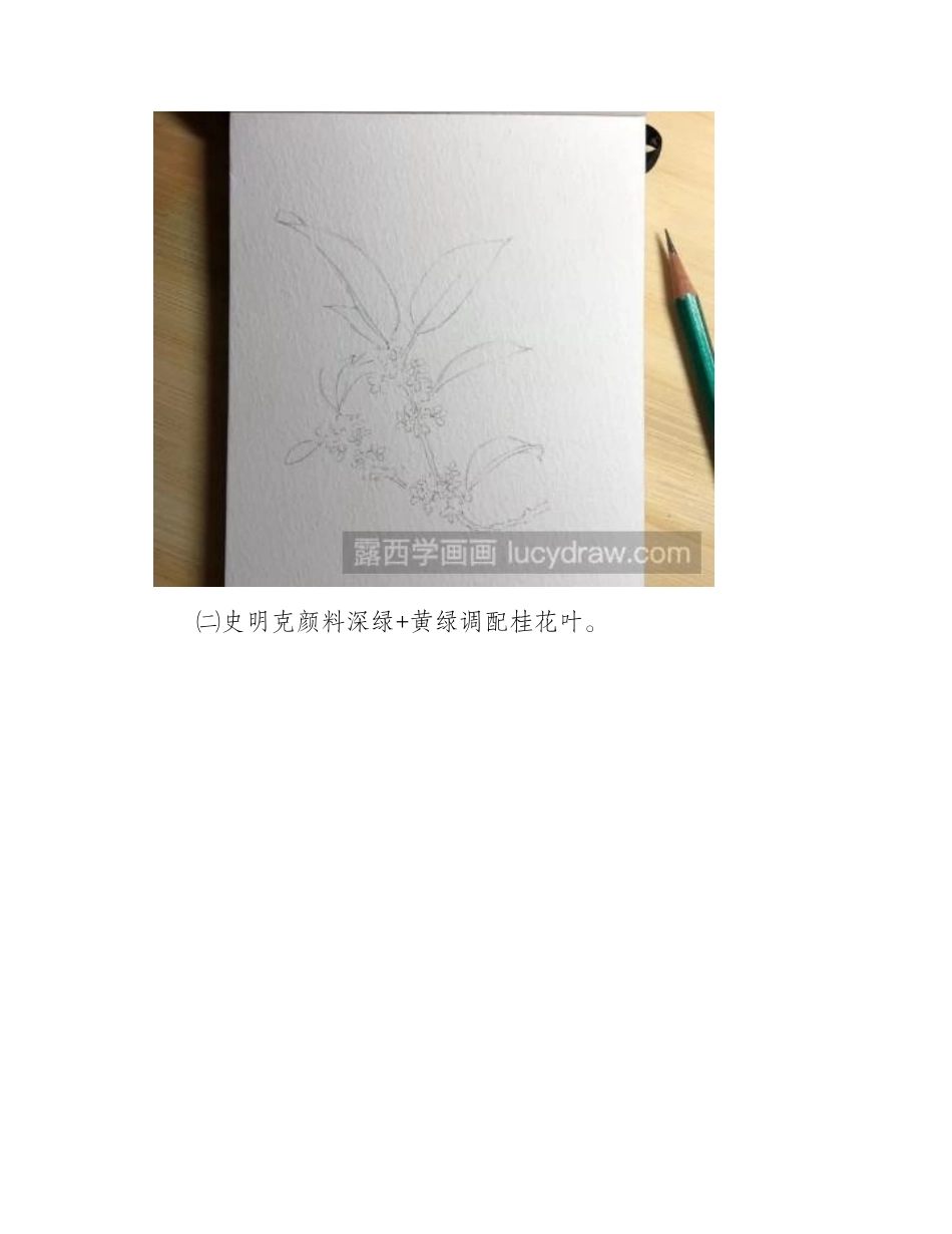 水彩花卉教程：桂花的画法水彩画教程2_第2页