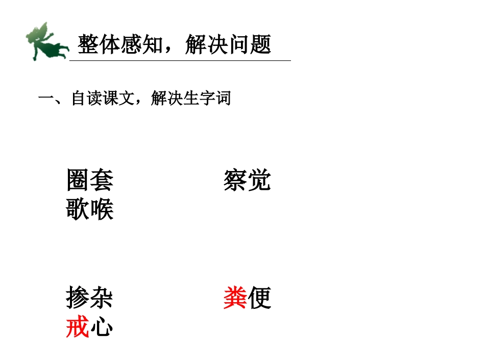 蝉和狐狸课件_第3页