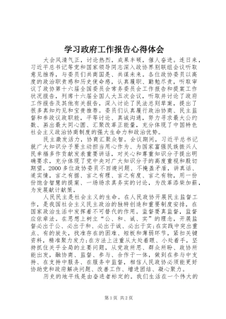 学习政府工作报告心得体会